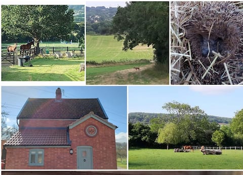 Successful Airbnb property: Beautiful little two bedroom coach house. in North Somerset