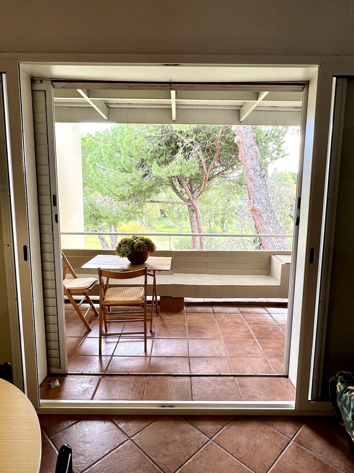 Successful Airbnb property: Studio with pool in Marina di Bibbona in Bibbona