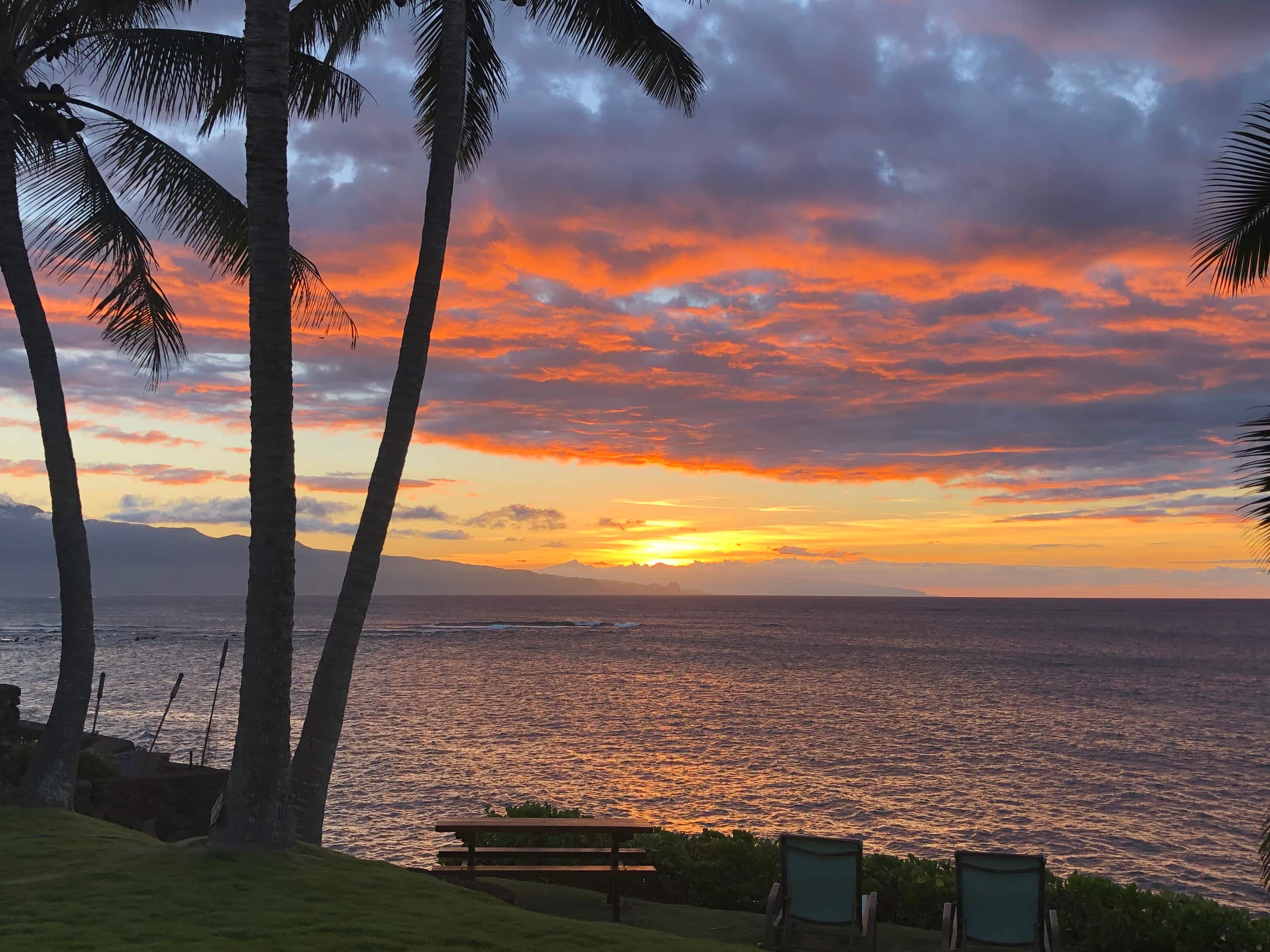 Guesthouse in Paia · ★4.93 · 1 bedroom · 1 bed · 1 bath - Photo 17
