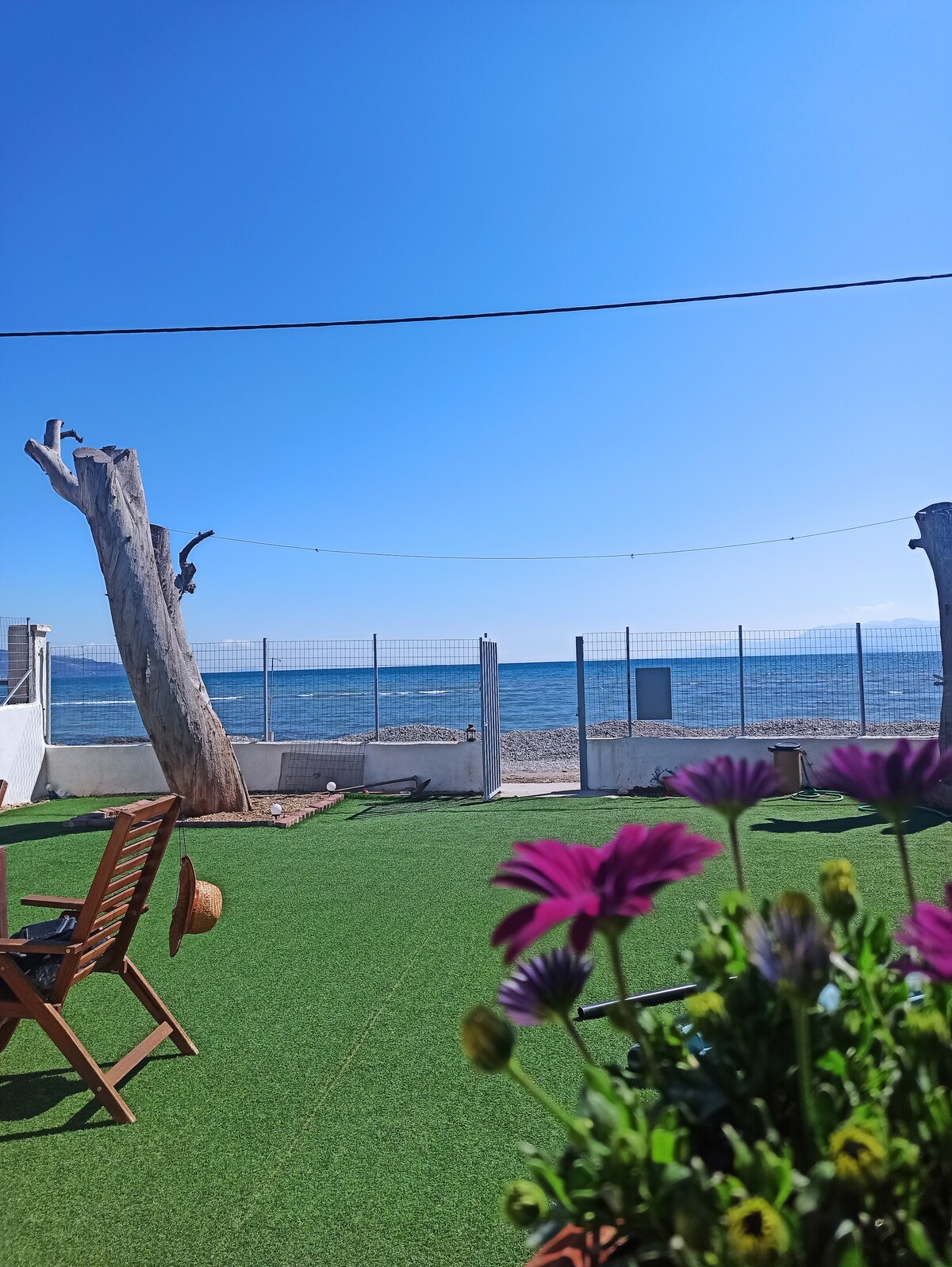 A view of the sea is framed by a well-maintained garden, featuring a green lawn and a wooden chair. Flowering plants add color in the foreground, while a weathered tree trunk stands prominently against a clear blue sky and distant water.