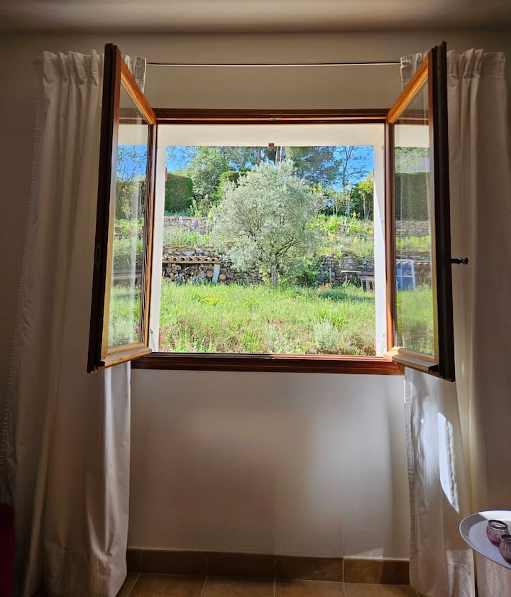 Mwonekano wa bustani ya moja kwa moja