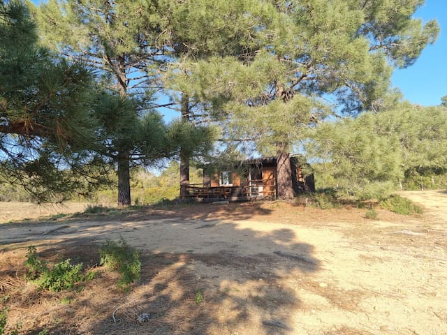 listing_image
