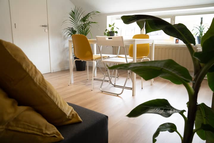Private 2 Room Apartment In Ghent's Greenest Area - Ghent