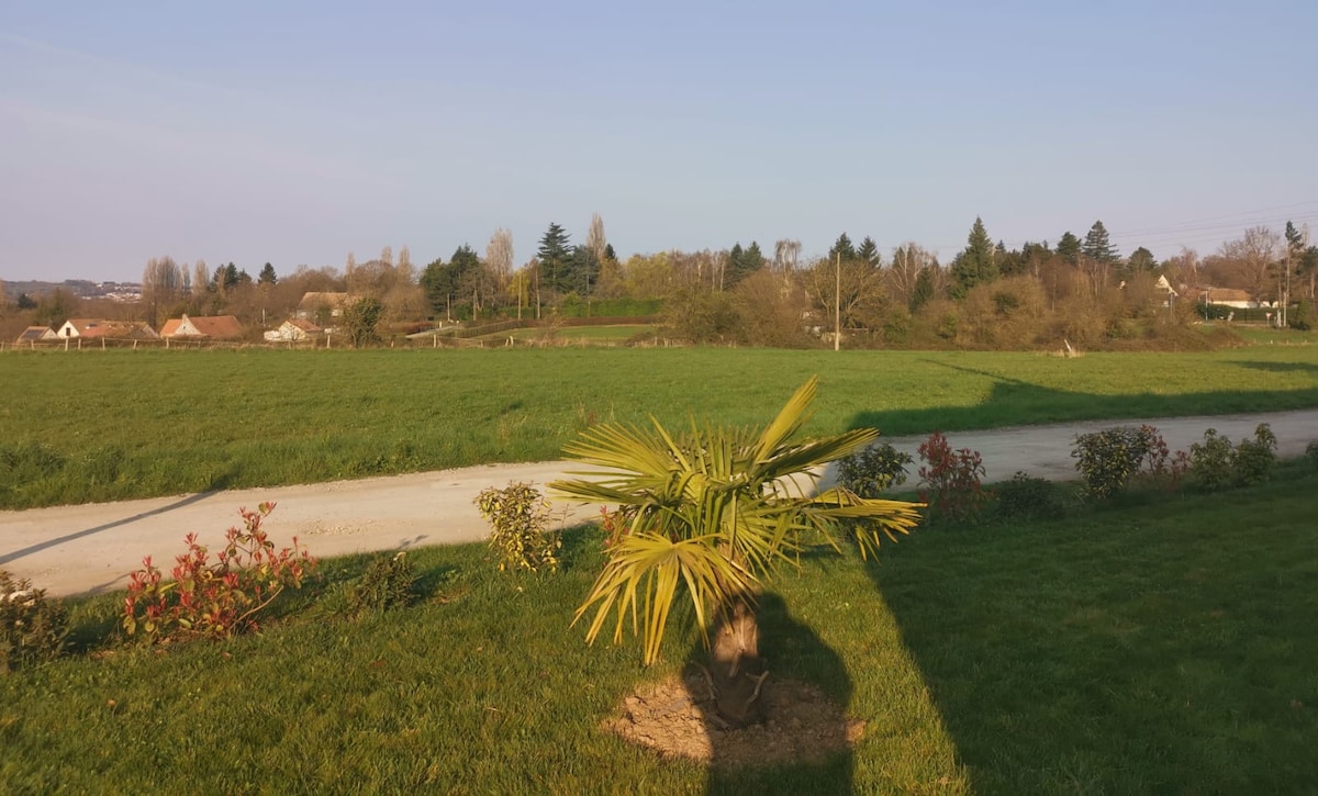 A view of a grassy area leading to a gravel path, bordered by a small palm plant. In the background, trees and rolling hills create a natural landscape, while modest homes can be seen further along the horizon.