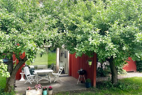 Nature reserve and a swim: 150 m. City: 15-20 min