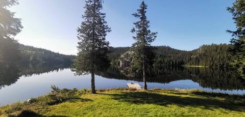 Idyllic cabin right on the water for rent!