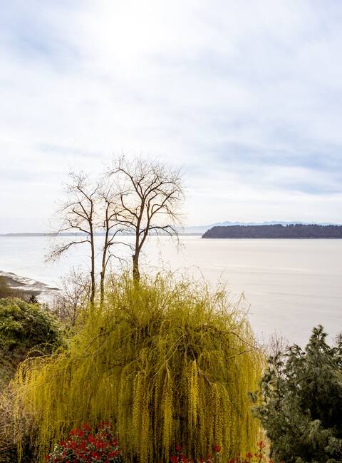 Absolute Best Sound View Home - 5 Bedrooms+1BBed