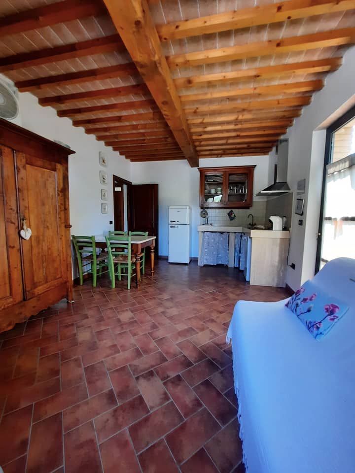 2+2 Beautiful Two Room Apartment - Cecina