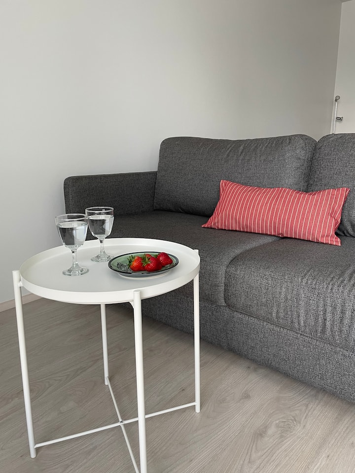 Pori Vacation Rentals & Homes Satakunta, Finland Airbnb