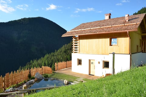 Naturchalet EinStein with natural swimming pond