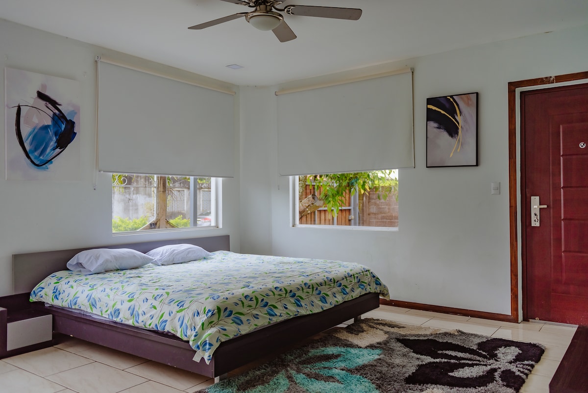 A spacious sleeping area features a large bed with a floral-patterned duvet, flanked by two contemporary windows. A colorful area rug lies beneath, and simple artwork adorns the walls. Natural light enters the room, creating a bright and airy atmosphere.