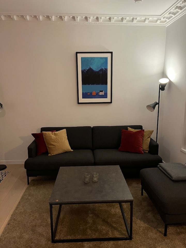 3 Roms Leilighet, Oslo Sentrum / A.kiellands Plass - Oslo