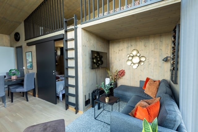 A modern living area features a comfortable sofa with accent pillows, situated across from a stylish wall-mounted TV. A ladder leads to a lofted sleeping area, while dining space is provided with a table and chairs in the background. Natural light enhances the wood-paneled walls.