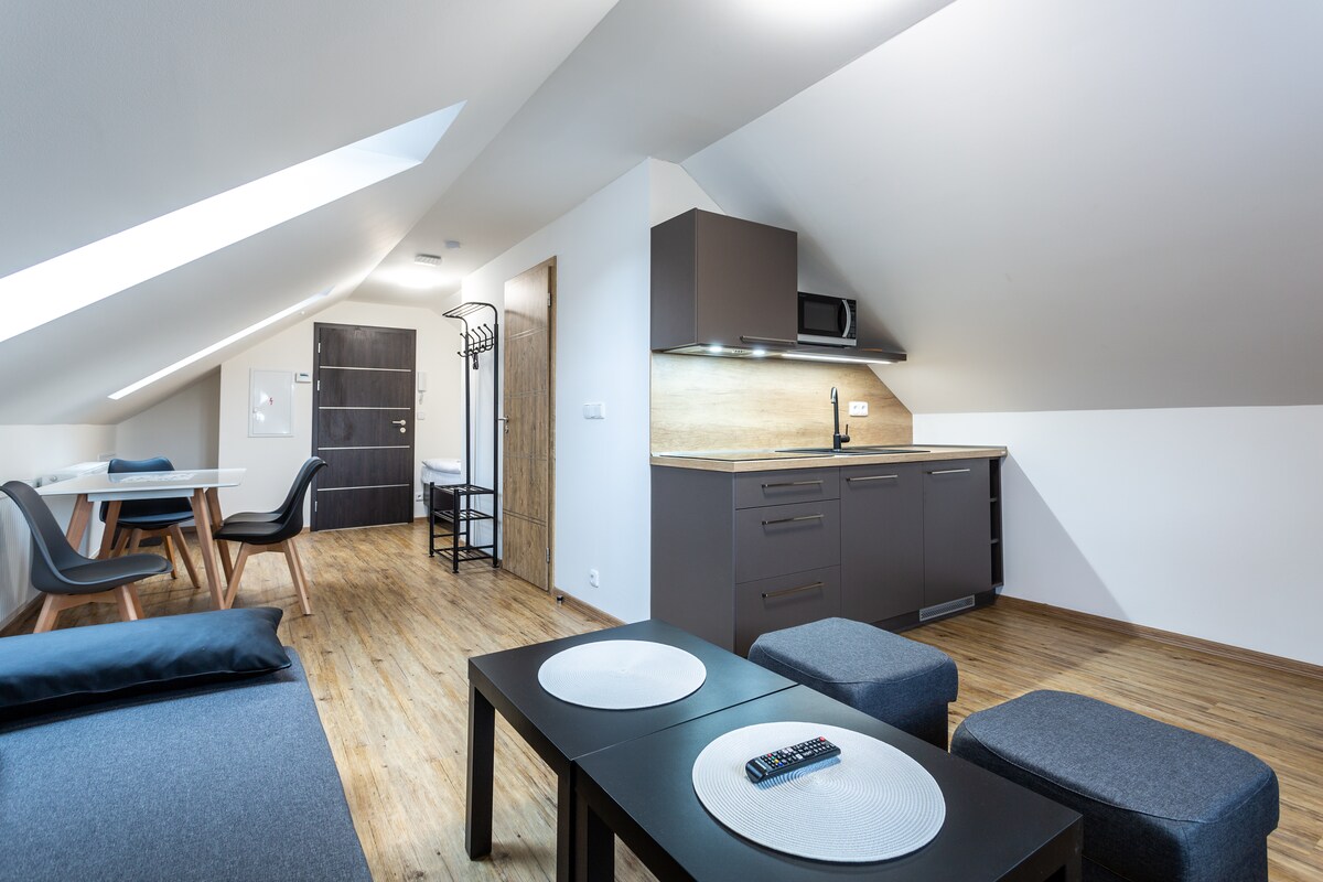 An open living space features sloped ceilings and natural wood flooring. A compact kitchen is equipped, with a dining area visible. Two small tables sit on the floor, accompanied by stylish chairs. Light enters through a skylight, creating a bright and airy environment.