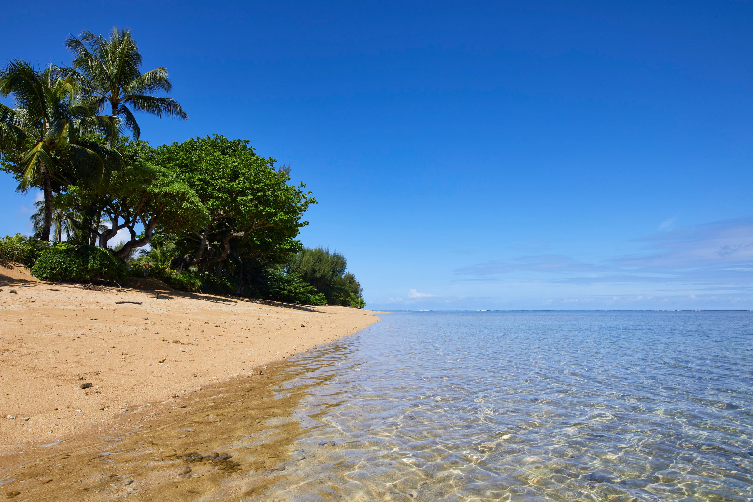 Condo in Princeville · ★5.0 · 3 bedrooms · 3 beds · 2.5 baths - Image 63