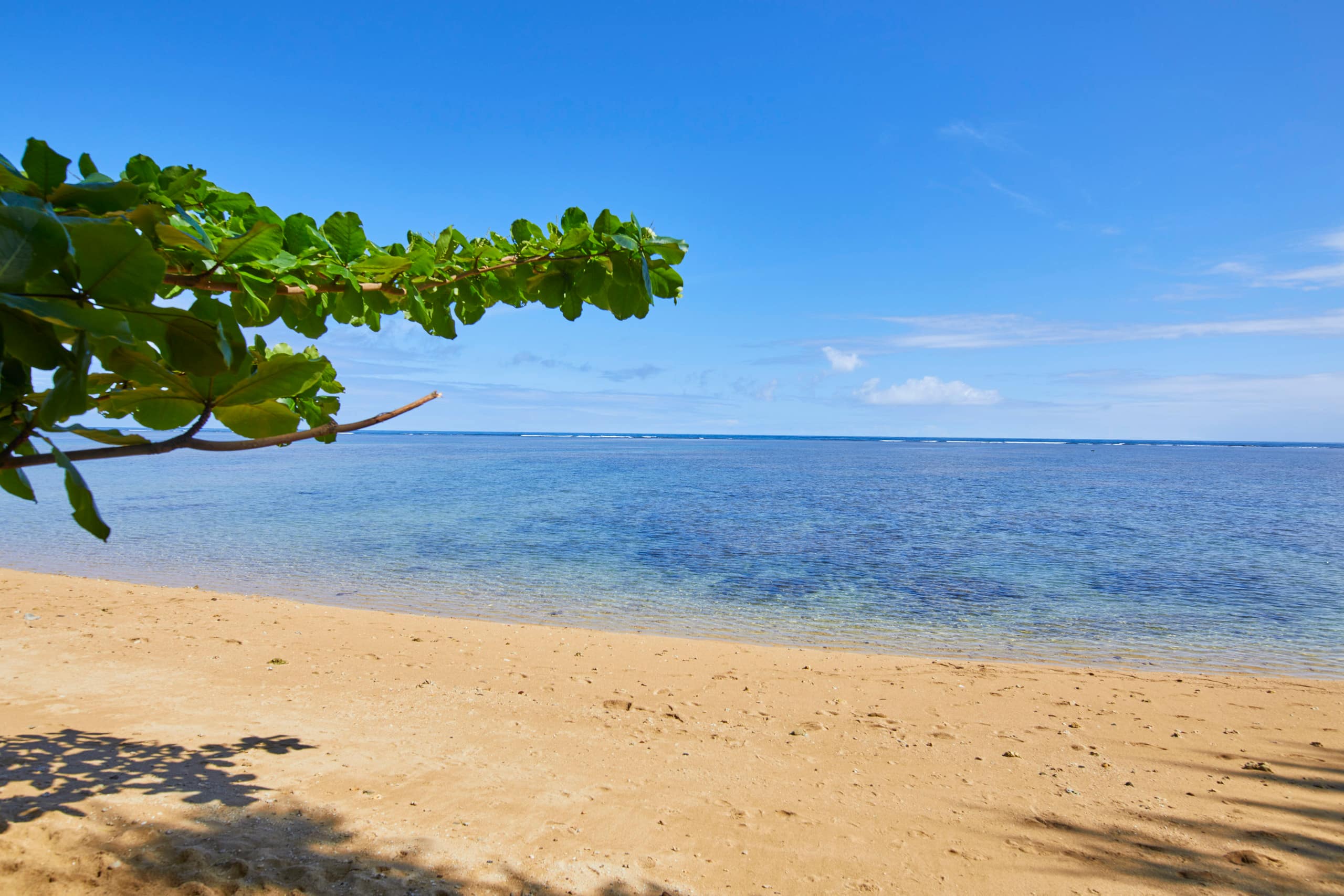 Condo in Princeville · ★5.0 · 3 bedrooms · 3 beds · 2.5 baths - Image 62
