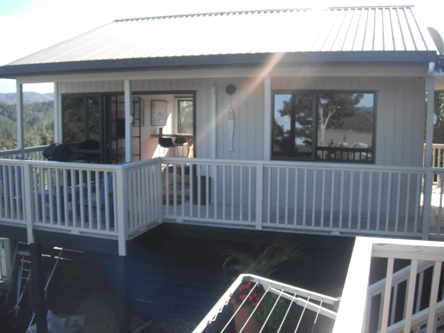 Studio Set In Opua Forest With Water And Bush View 1