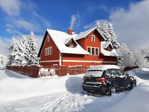 Cottage Red Kangaroo