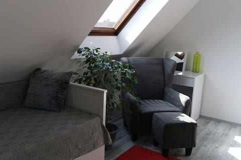 Renovated DG apartment in the south of Bochum