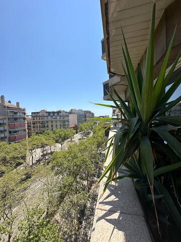 Plaza Spain Apartment gallery image 3