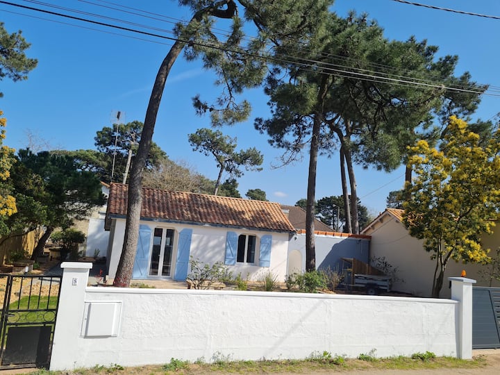 House near the sea under the pines