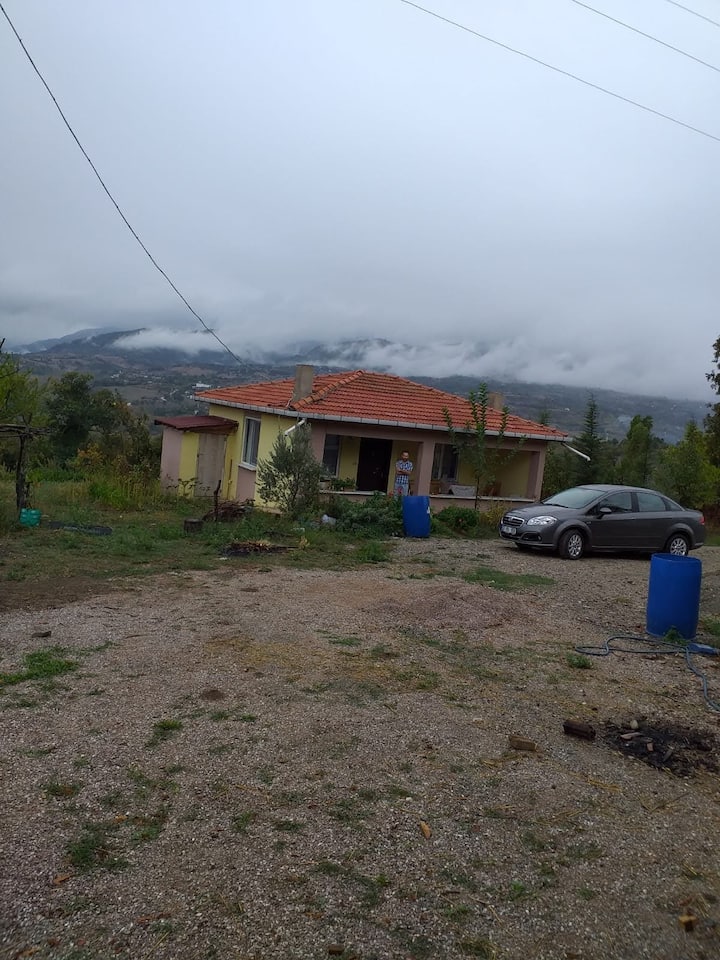 Temiz Hava, Doğal Bir Kır Evi, Bahçe, Fidanlar, Mantarhane, şEhir Merkezine 25 Km Muhteşem Deniz - Gerze