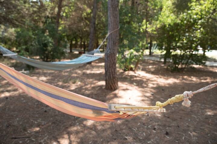 Villa Patty. gallery image 3