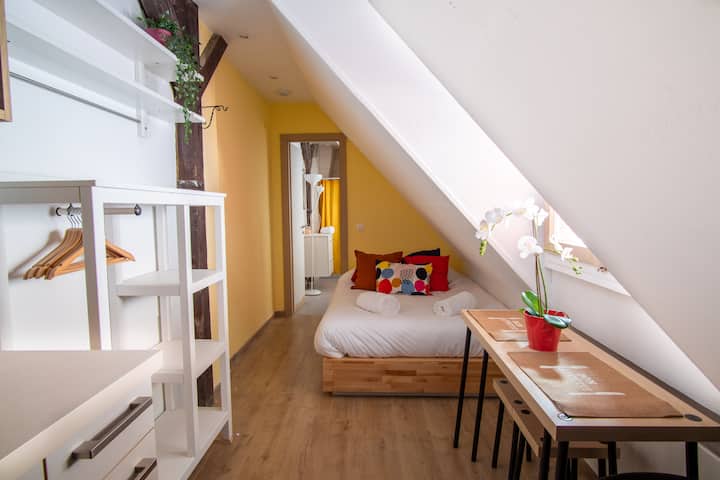 Charming Studio Strasbourg Centre - Bail Mobilité - Strasbourg