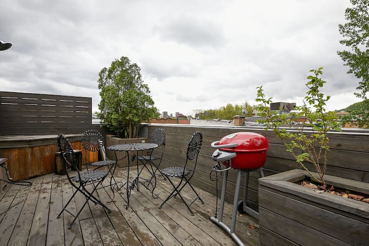 Montreal 2+1 bedroom + mezzanine + Mountain view gallery image 3