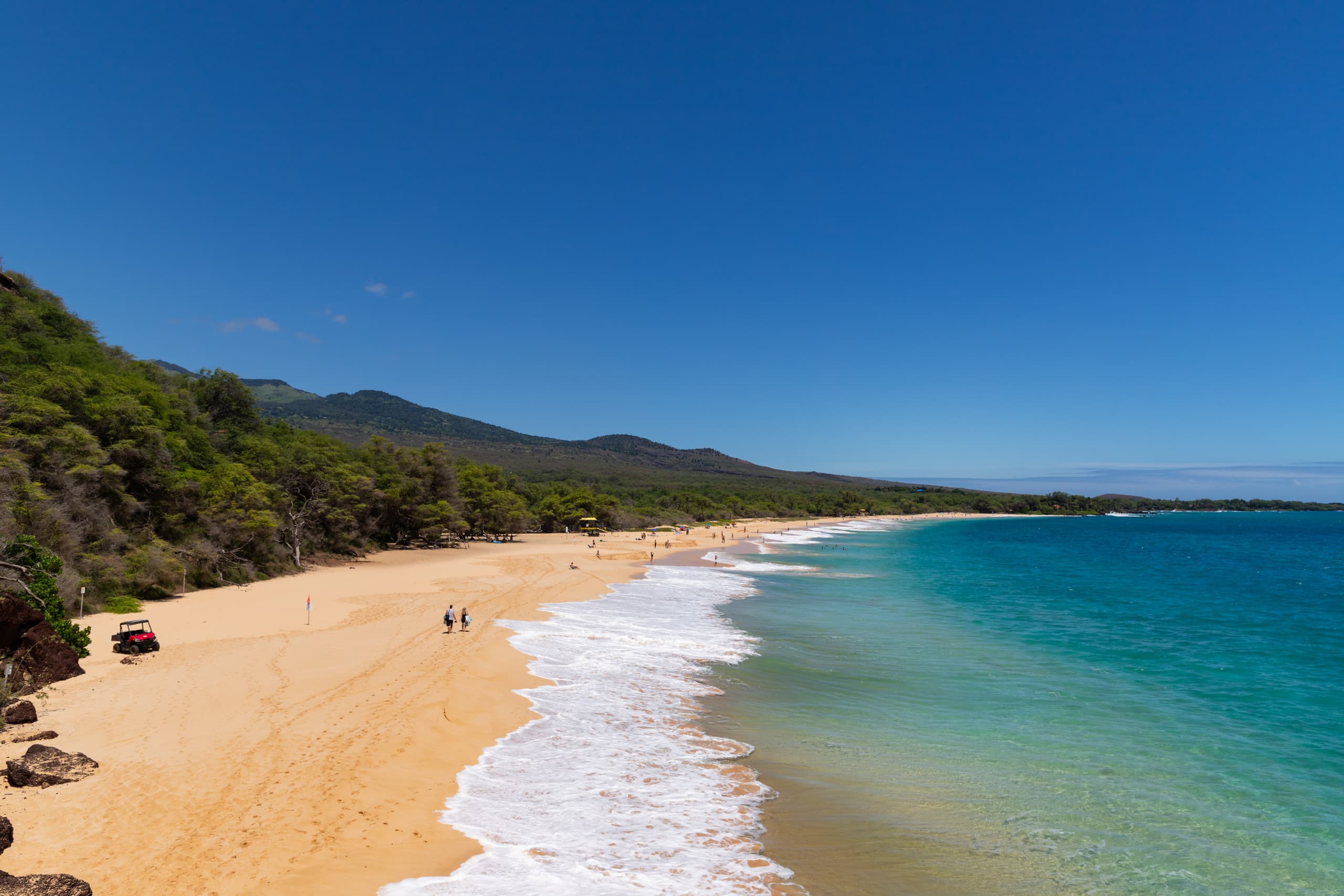 Condo in Kihei · ★4.95 · 2 bedrooms · 3 beds · 2 baths - Image 45