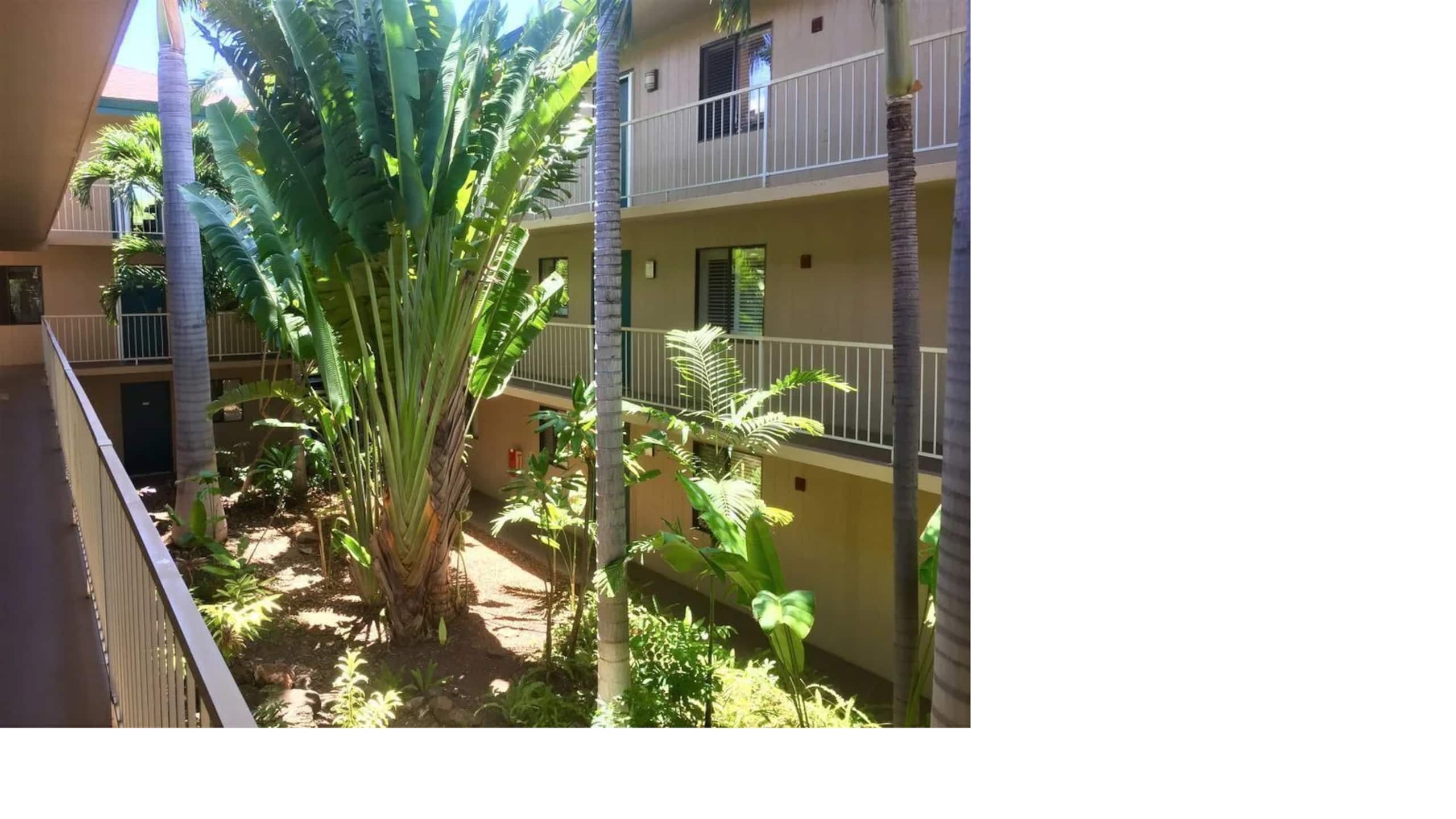 Condo in Kihei · ★4.95 · 2 bedrooms · 3 beds · 2 baths - Image 25