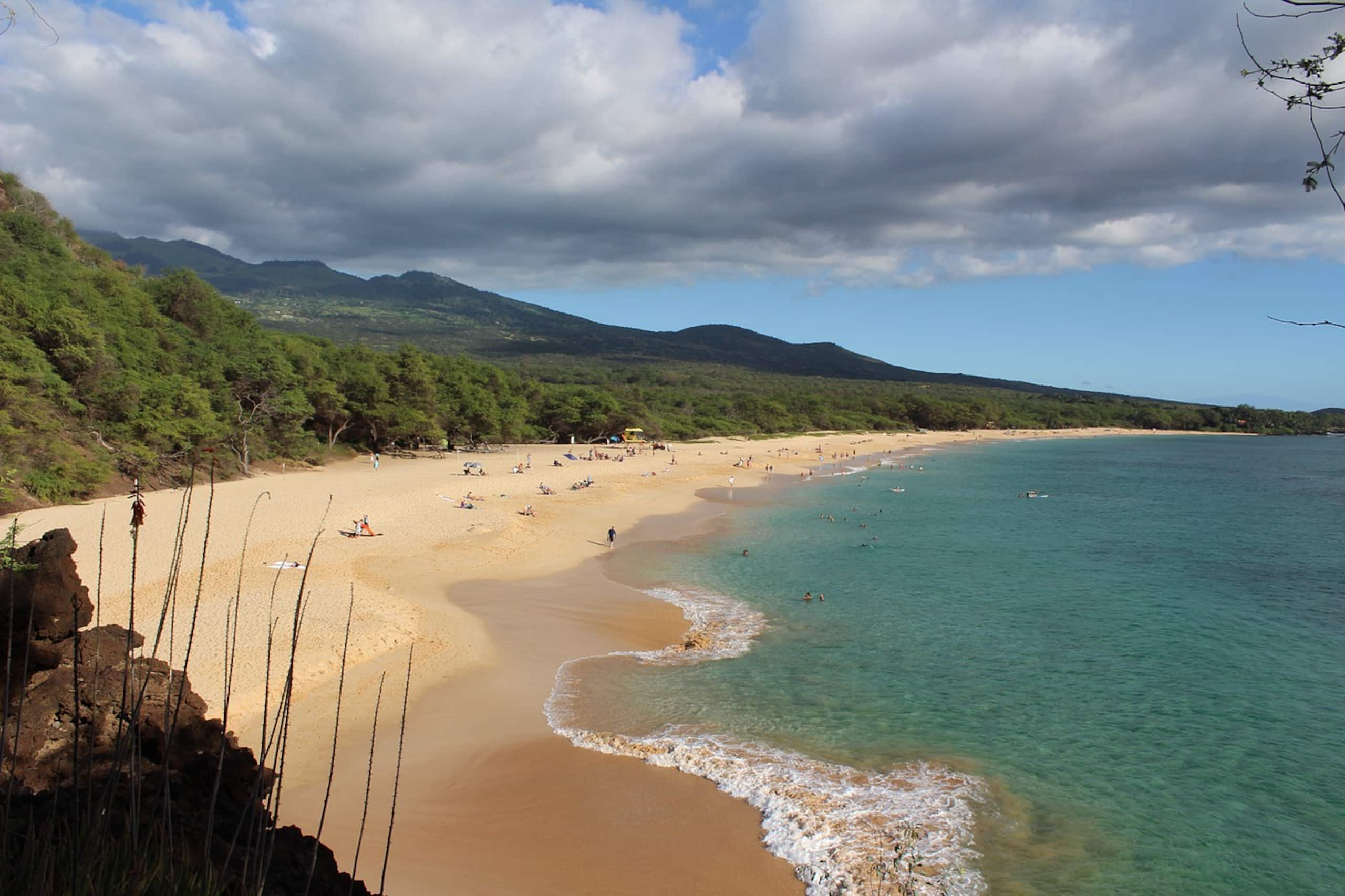 Condo in Kihei · ★4.95 · 2 bedrooms · 3 beds · 2 baths - Image 50