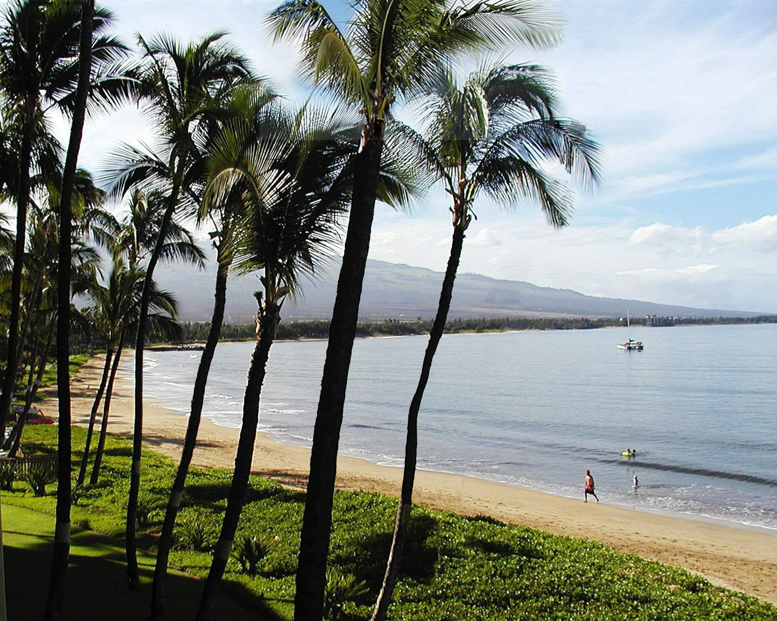 Condo in Kihei · ★4.95 · 2 bedrooms · 3 beds · 2 baths - Image 38