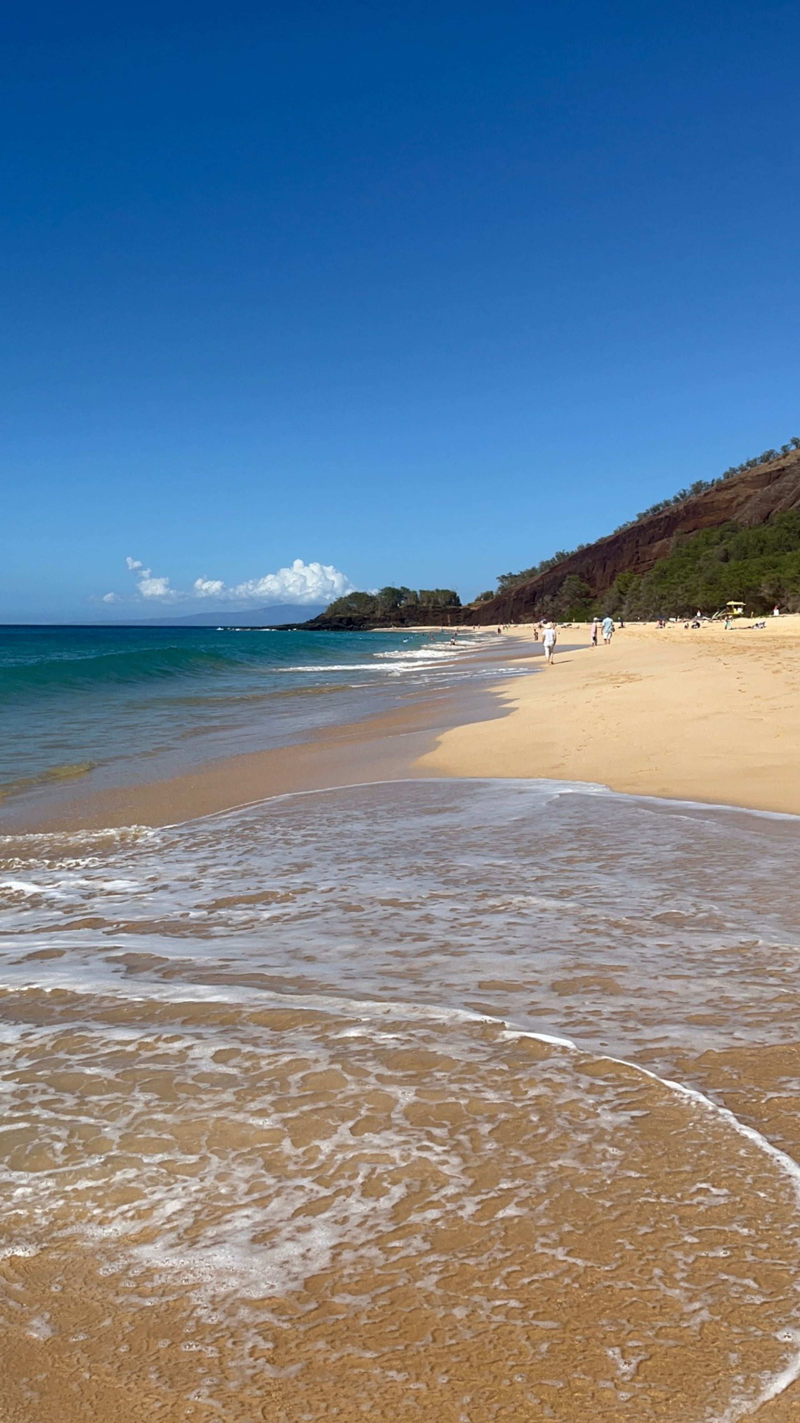 Condo in Kihei · ★4.95 · 2 bedrooms · 3 beds · 2 baths - Image 49