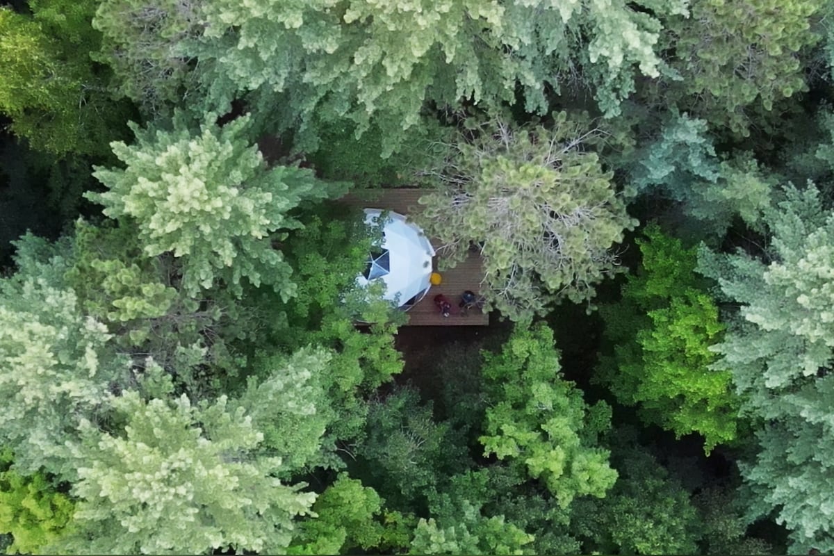 Aerial view of the Hillside Dome nestled among dense green foliage, highlighting the dome's white exterior against the vibrant trees. A wooden deck surrounds the dome, providing a serene natural setting that emphasizes the nearby forest canopy.