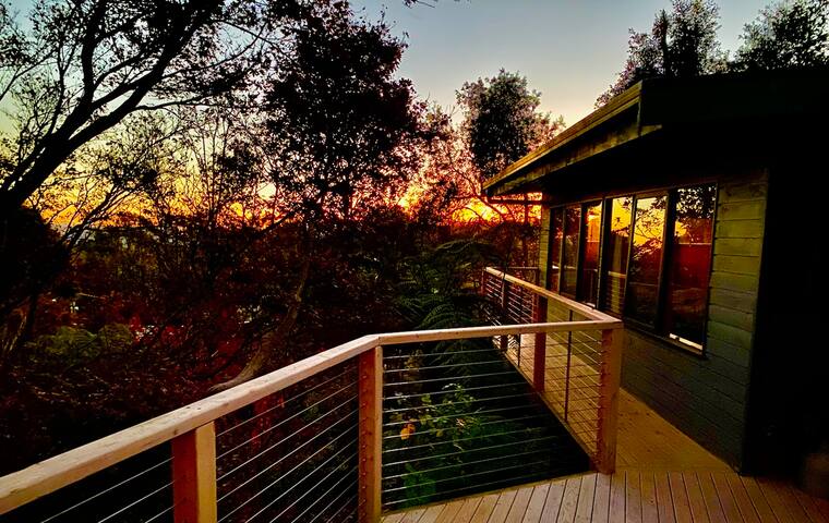 The Canopy House, Healesville. Yarra Valley. gallery image 4