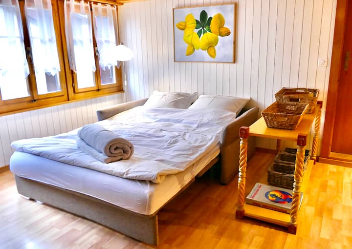 Lovely 2 Room Apartment In Historic Brienz - Brienz