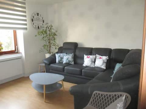 Airbnb performant: 63 m2 apartment + free parking + outdoor à Schiltigheim