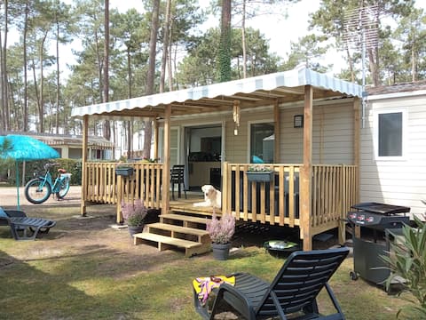 Top Airbnb: "Douces Landes", mobile home rental in Contis in Saint Julien En Born
