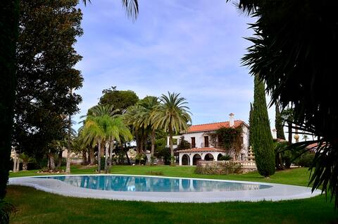 Luxury estate with a giant pool.