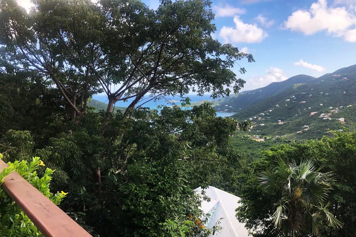A panoramic view captures the lush greenery surrounding the property, with a glimpse of Coral Bay visible in the distance. The scene is framed by a large tree and the distant mountains add depth to the vibrant landscape under a bright blue sky.