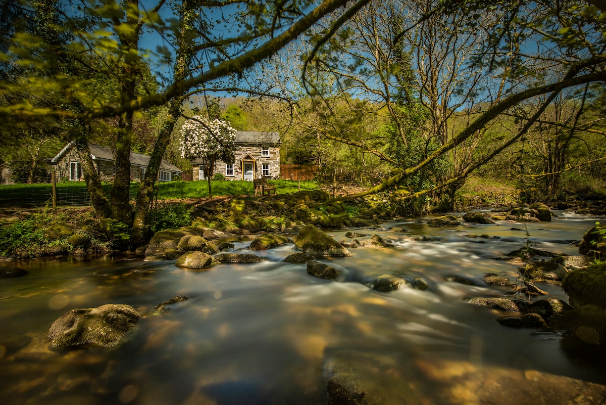 A traditional stone cottage is nestled by the banks of the river, surrounded by lush greenery and trees. The gentle flow of the water reflects the sunlight, while smooth stones are visible beneath the surface, creating a serene natural setting.