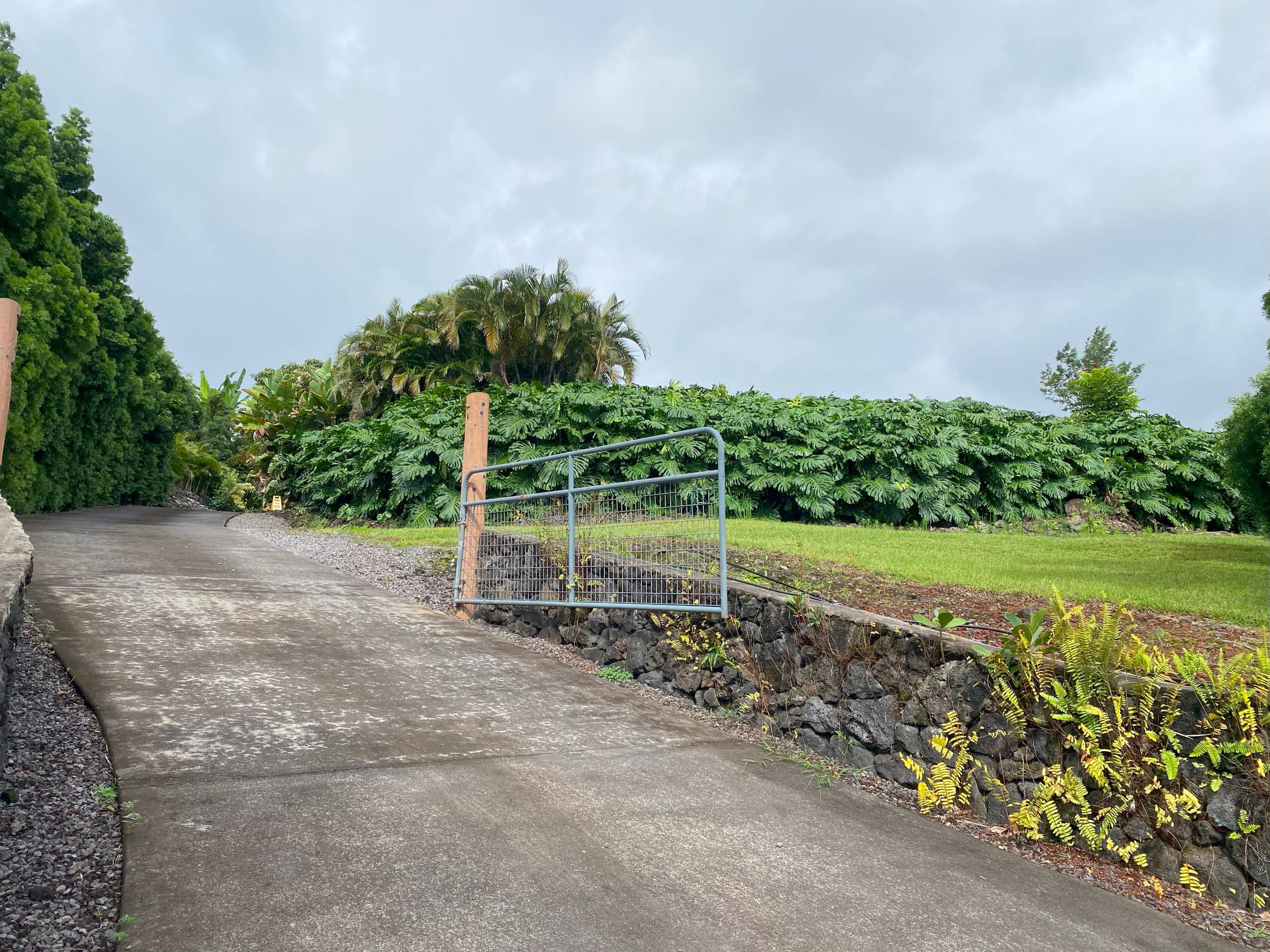 Home in Kailua-Kona · ★4.98 · 3 bedrooms · 5 beds · 2.5 private baths - Image 39