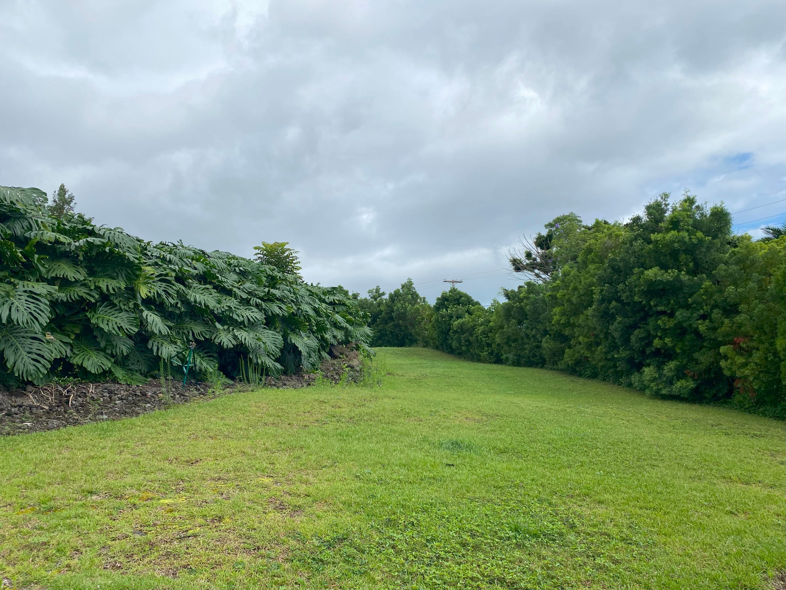 Home in Kailua-Kona · ★4.98 · 3 bedrooms · 5 beds · 2.5 private baths - Image 31