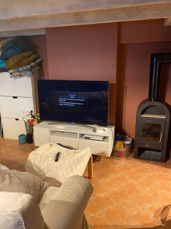 TV de 65 pulgadas y estufa de leña en la sala de estar del sótano. Sofá cama con colchón superior extra de
El cisne está disponible.