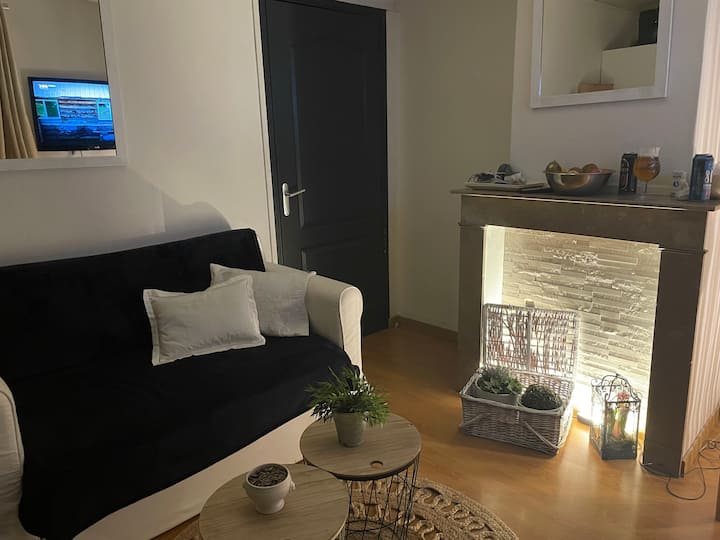 Appartement Cosy Proche Euratechnologie - Lille