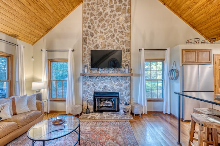 Mountain Views * Dog Friendly * Wifi - Ellijay, GA