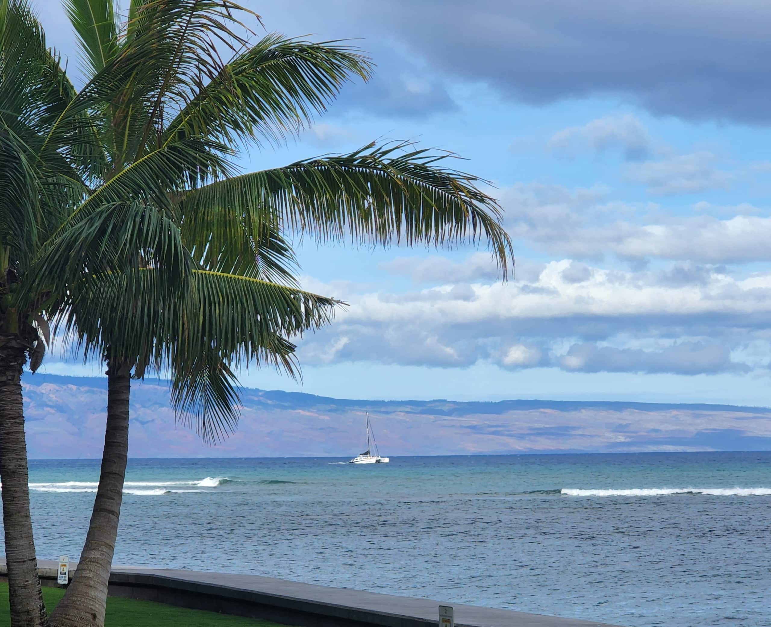 Condo in Lahaina · ★4.84 · 1 bedroom · 1 bed · 1 bath - Image 30
