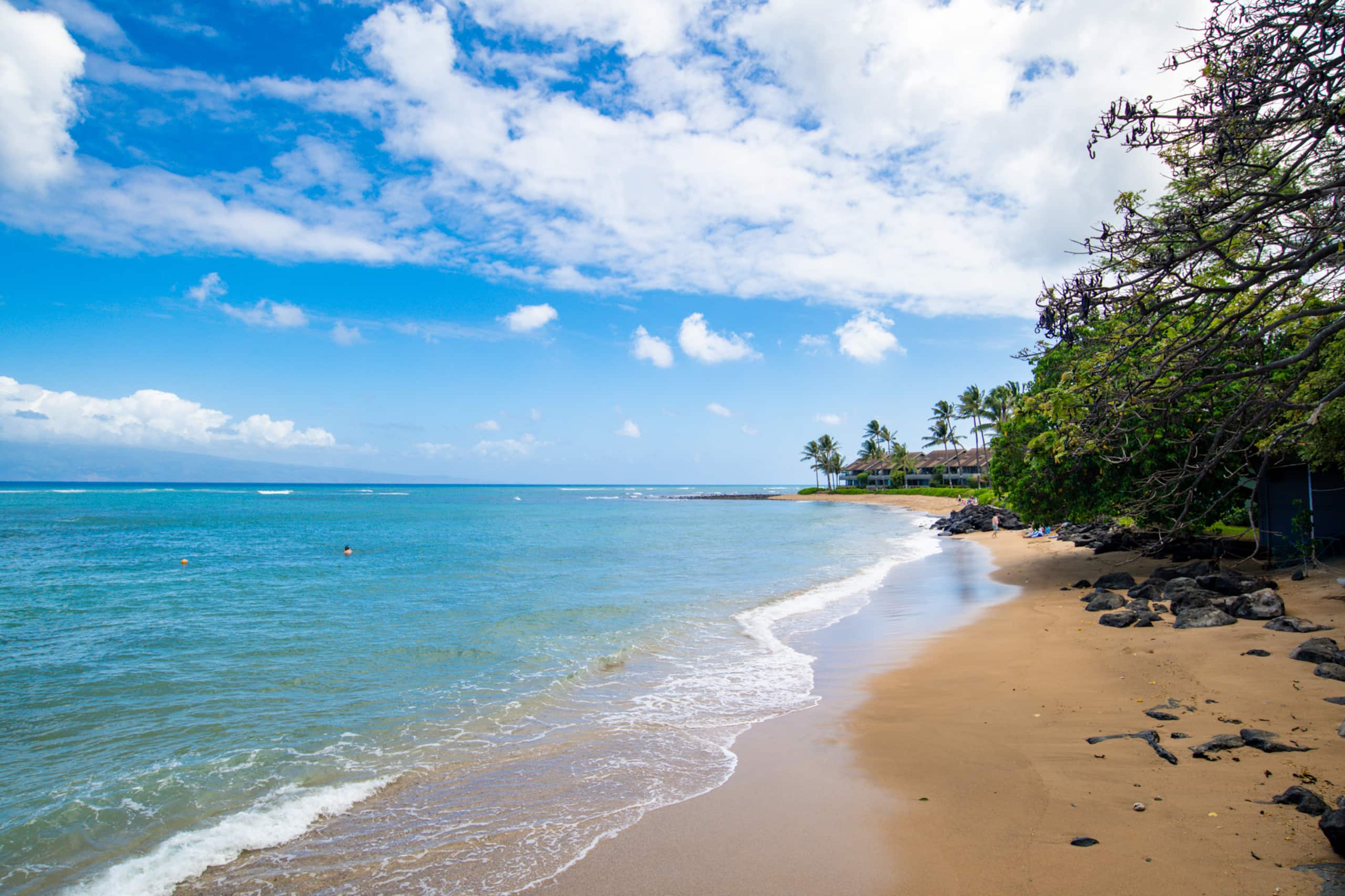 Condo in Lahaina · ★4.84 · 1 bedroom · 1 bed · 1 bath - Image 29