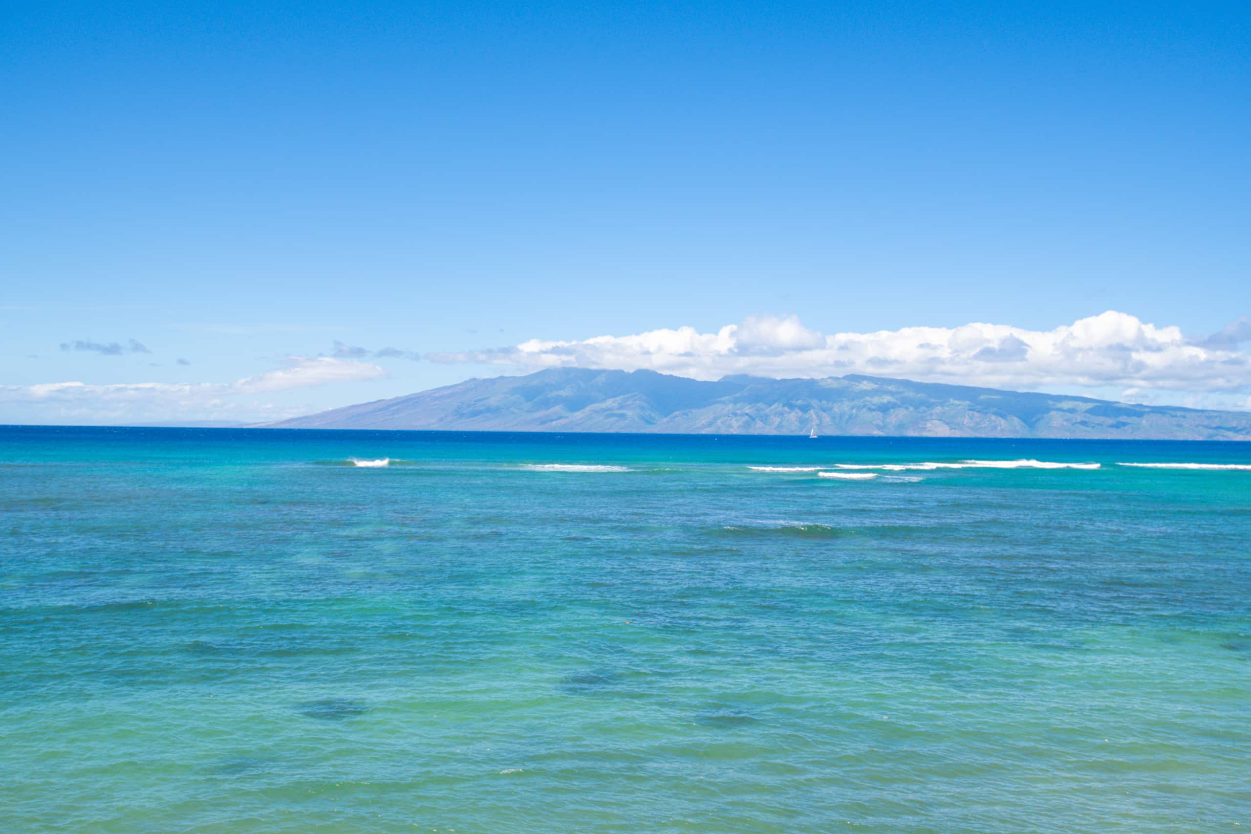 Condo in Lahaina · ★4.84 · 1 bedroom · 1 bed · 1 bath - Image 33